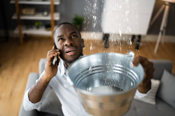 Best Water damage cleanup near me  in Brown Station, MD