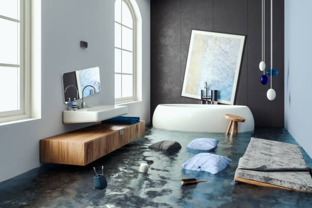 Water damage restoration mold remediation in MD