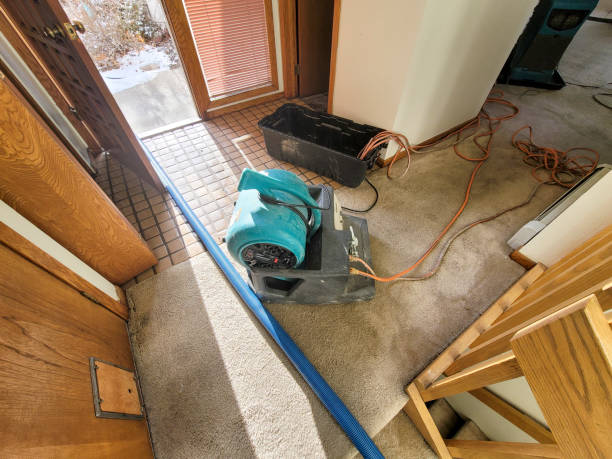 Best Water damage mitigation services  in Brown Station, MD