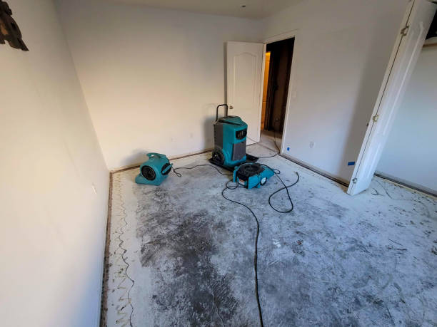 Best Flood restoration services  in Brown Station, MD