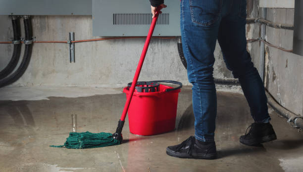 Best 24-hour water damage restoration  in Brown Station, MD