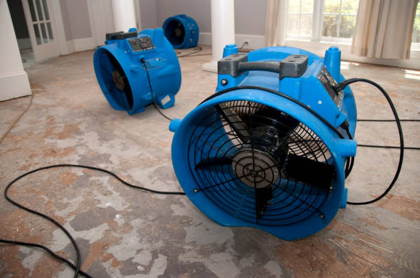 Best Local water damage restoration  in Brown Station, MD