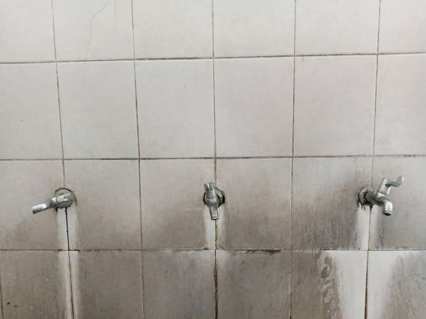 Best Commercial water damage restoration  in Brown Station, MD