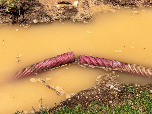 Best Water damage restoration mold remediation  in Brown Station, MD