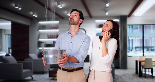 Best Water damage restoration near me  in Brown Station, MD